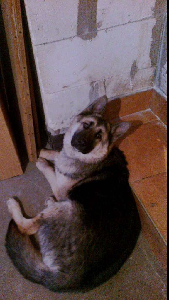 Kuleczka :P