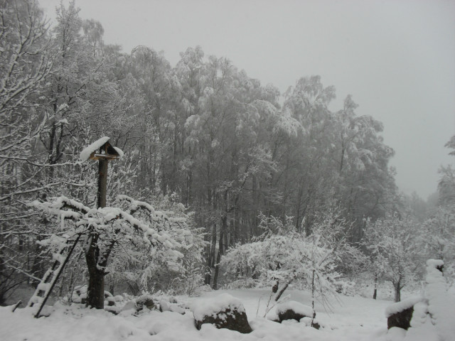 "Wiosna"
