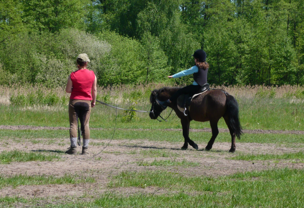 2006