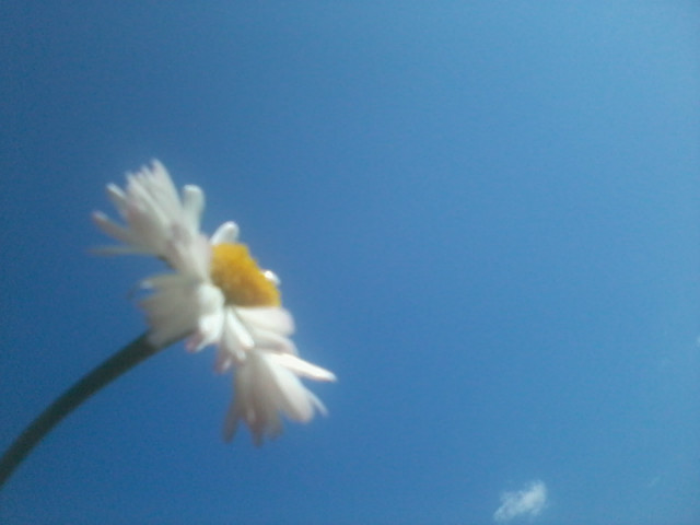 1.To znowu jaa.. ;)