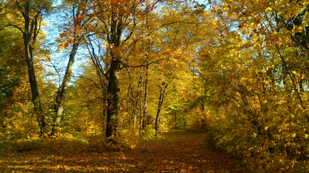 Targoszyn - Jesie 2012