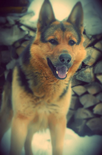 Grandi *.* 