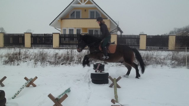skoki 