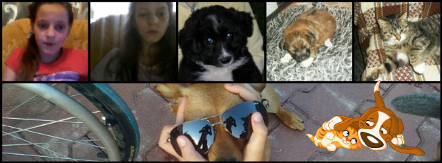 Aaaa to s moje zwierztka ;DDD