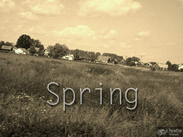 spring (38)