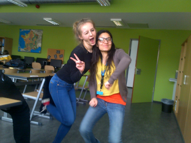 Comenius Project