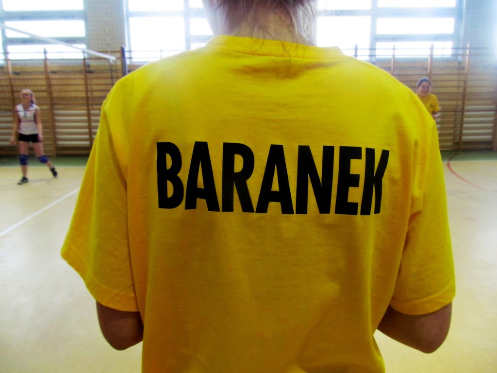 baranekbaranekbaranek
