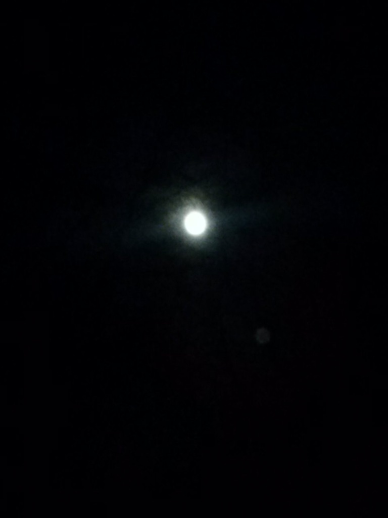 Moonlight.