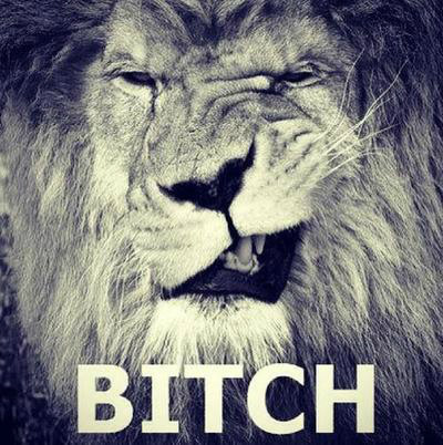 RAWRR .! warcz !!!