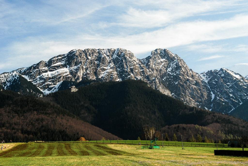 picy rycerz 