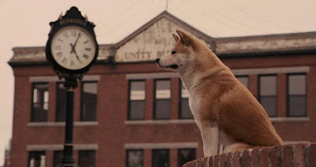 Hachiko.