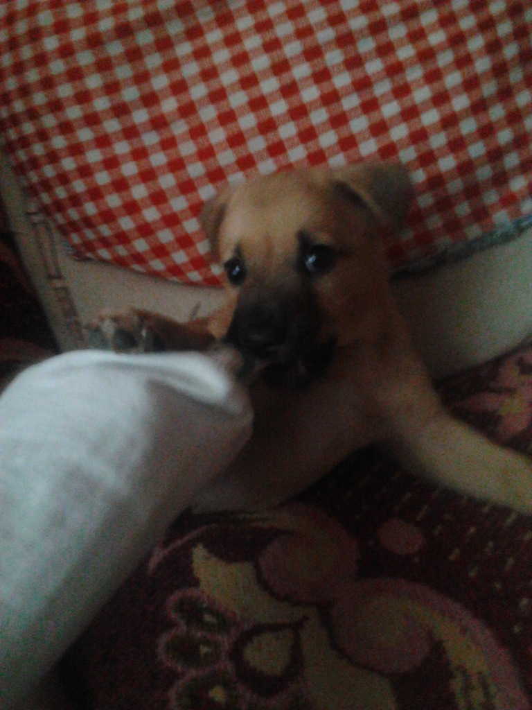 Bczek :*