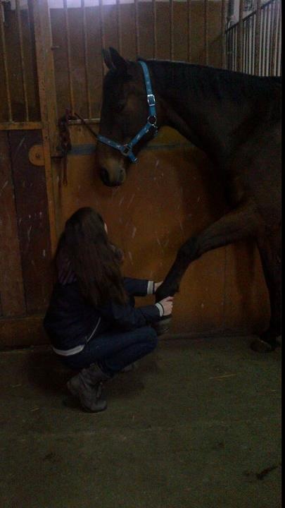 kc :*