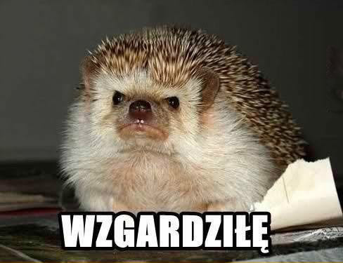 Po wintach !!