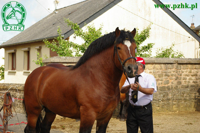 ko ardeski