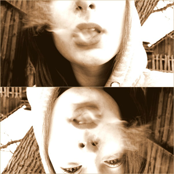 smoke cheeba cheeba 