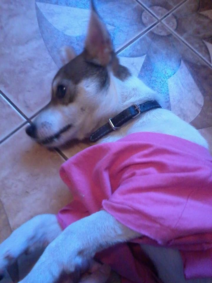 Liroooj < 3 