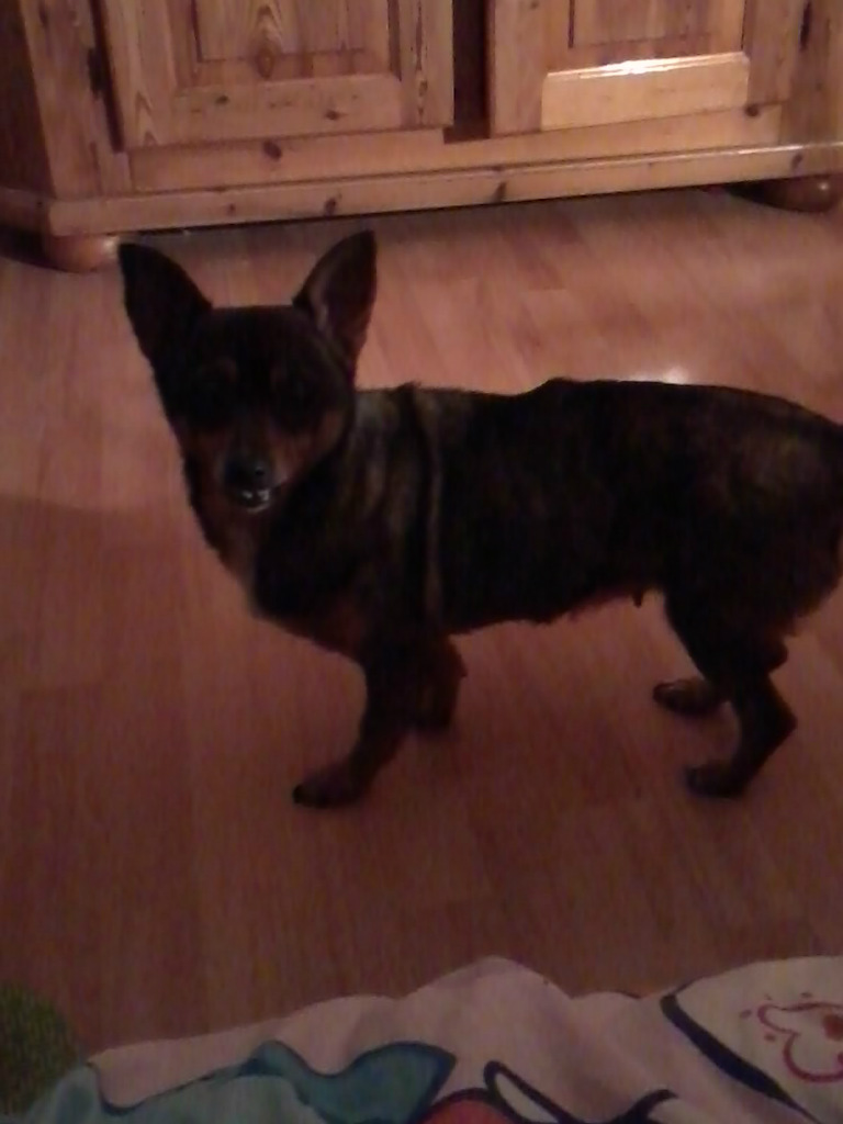 Soonia ^^