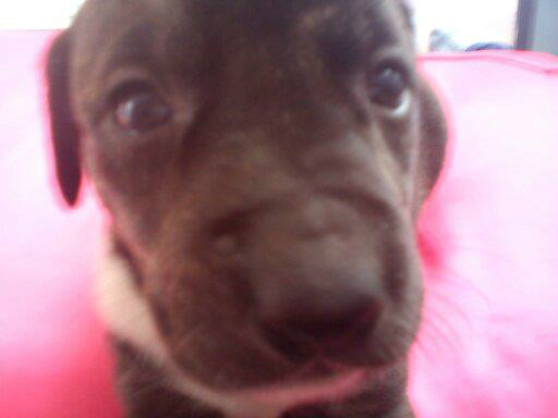 gruby.:3 *.*