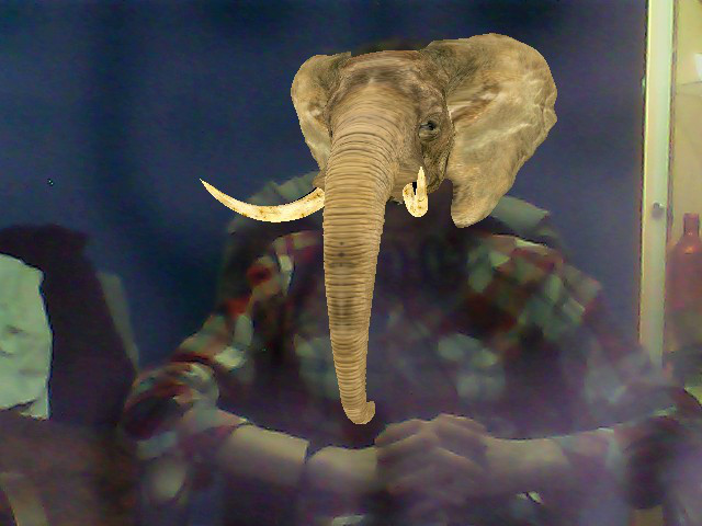 JEZUUFAMTOBIE.