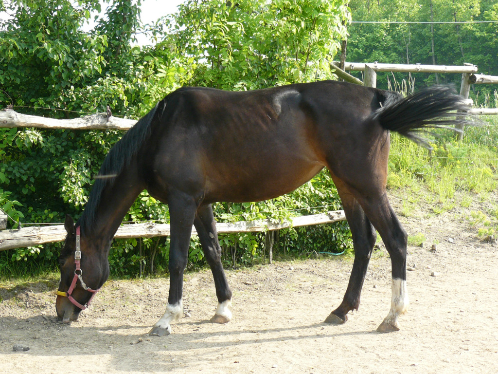 Wspomnienia ;/
