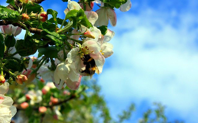 Hello Spring!