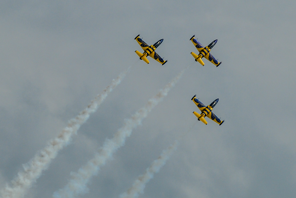 Baltic Bees