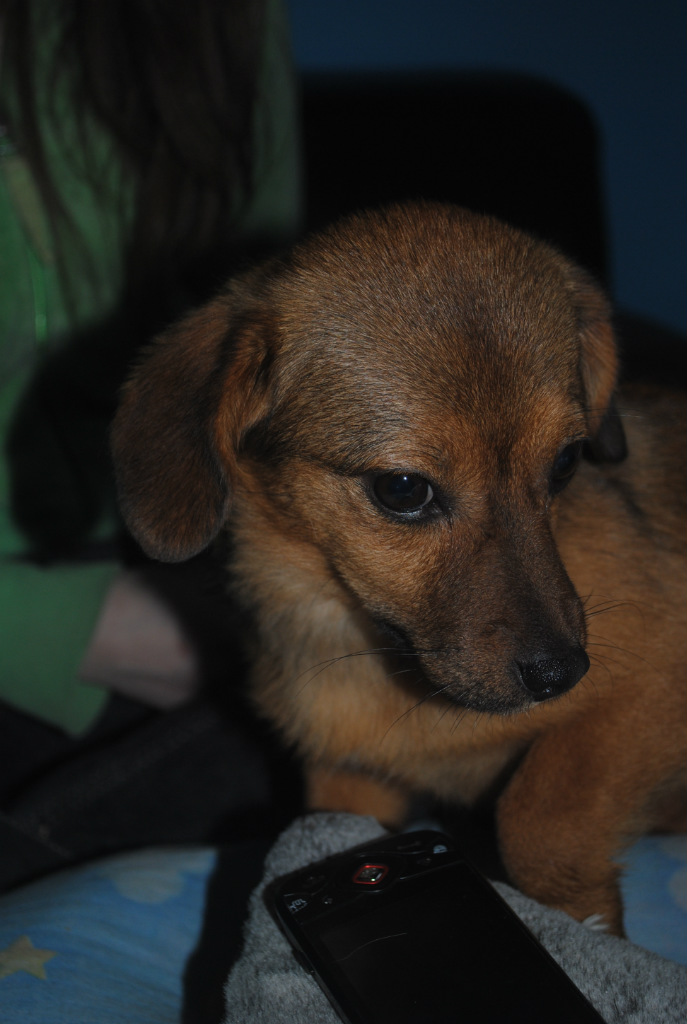 malusiaa :*