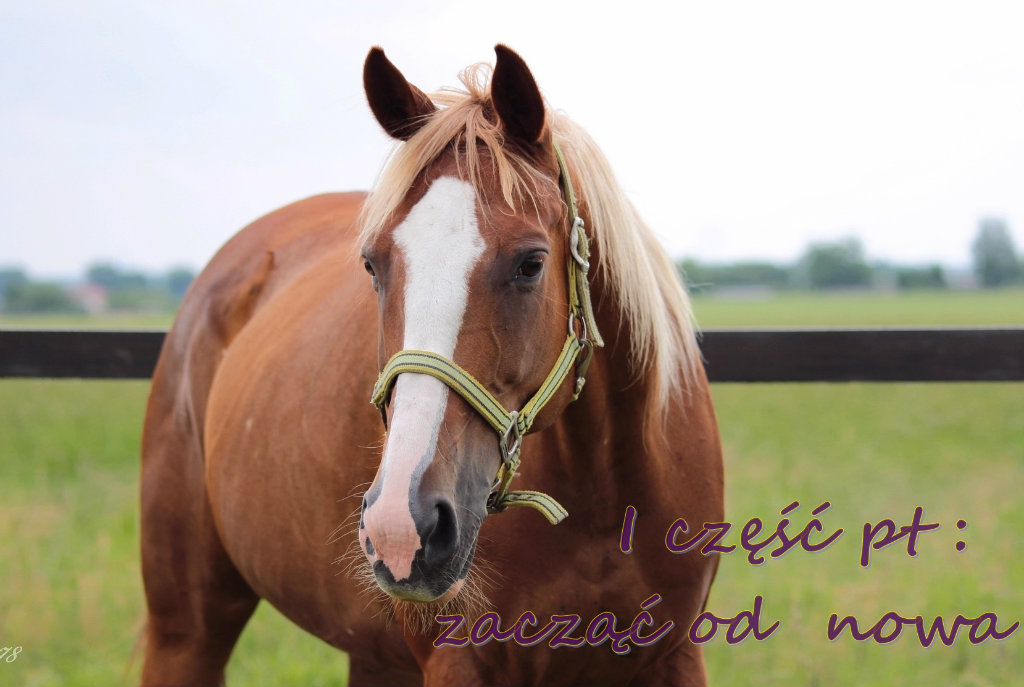 I cz ZACZ OD NOWA.