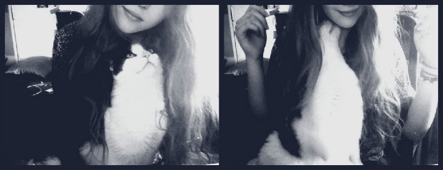 miaoo