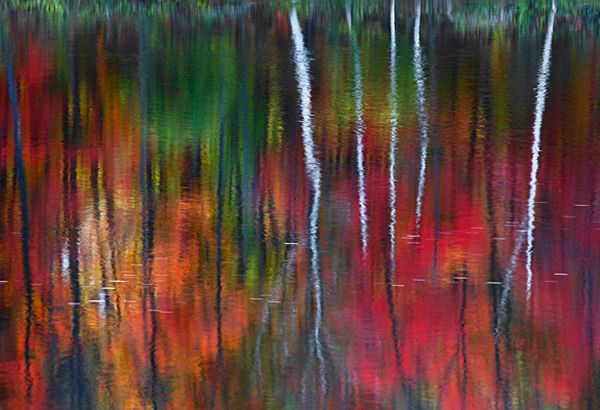 Peter Lik One