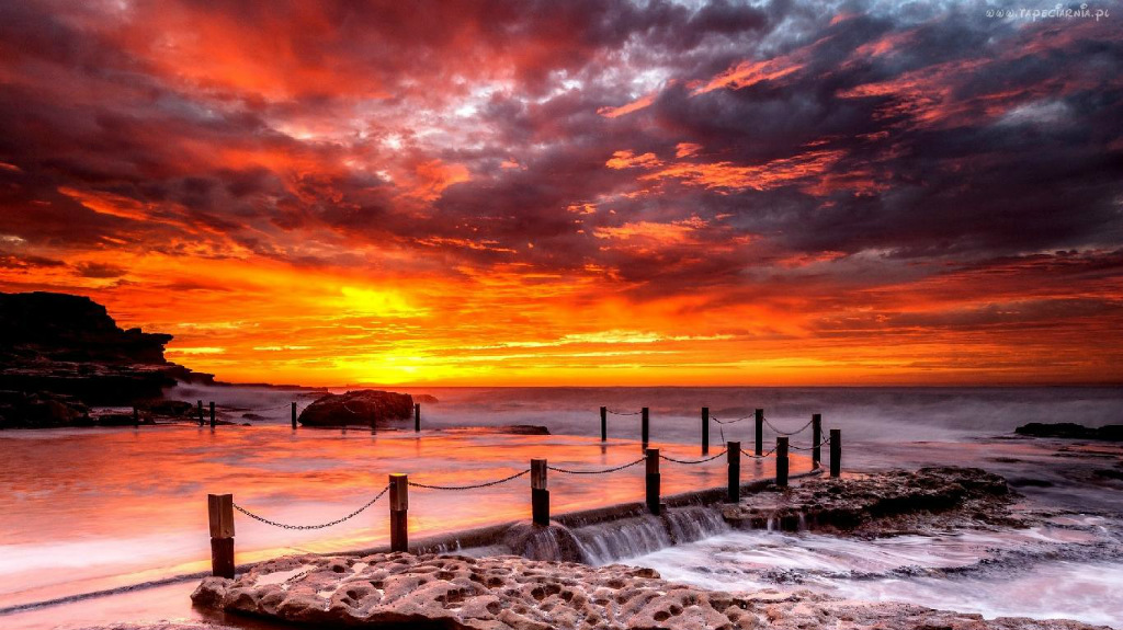 Summer Paradise 