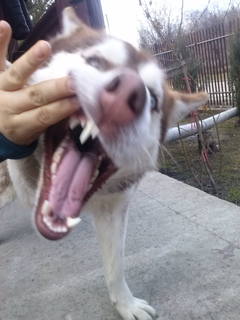 aaaaaaaa!
