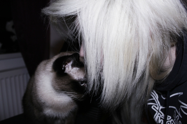 Meine Katze *_*