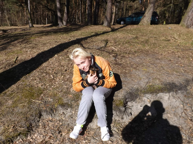 Tak i Nie.