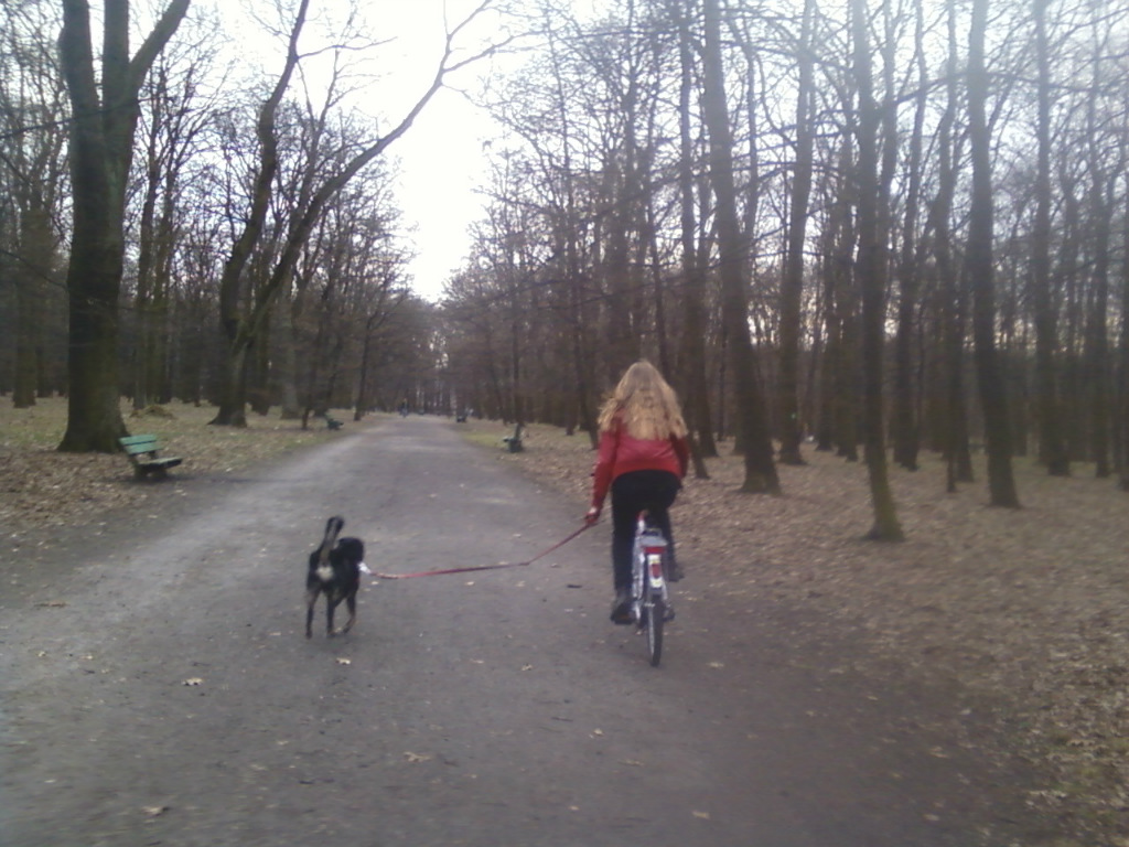 Odra.