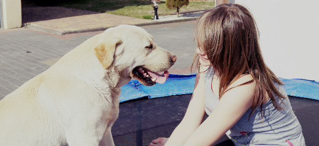 Wuams :3