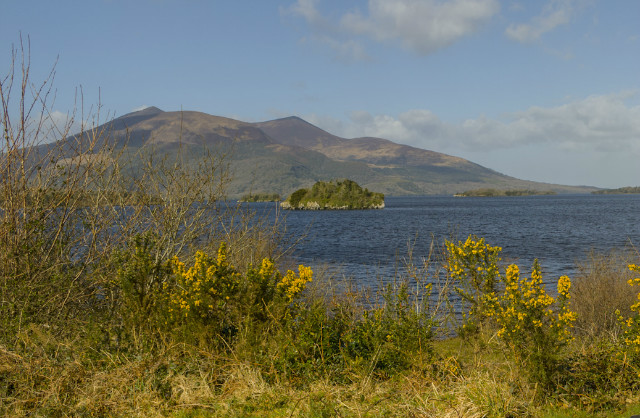 Lough Laine