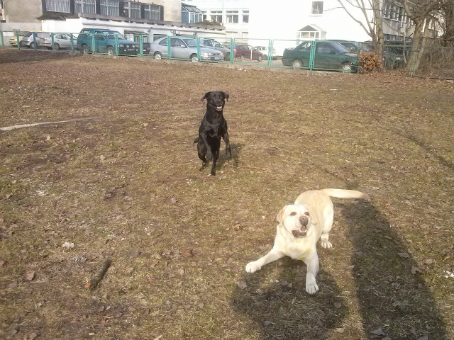 Ja zapi... :D