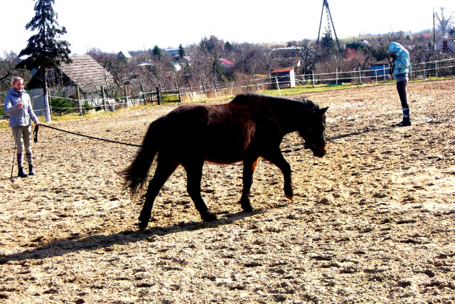 Figson :) 