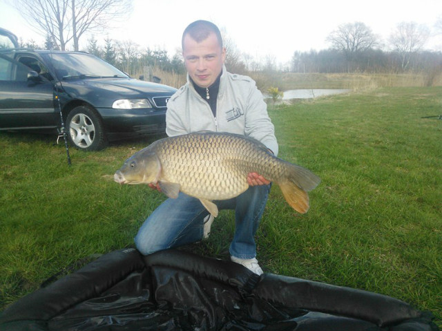 ryba Groszka
