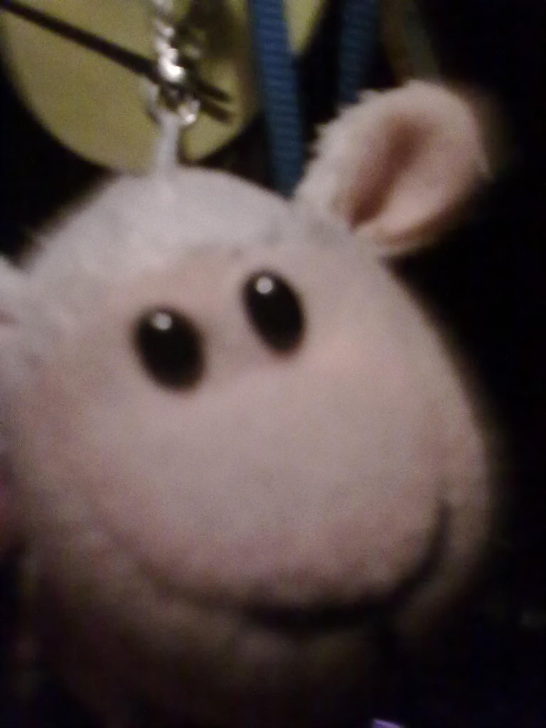 baran po pixolocie;D hahaha;)