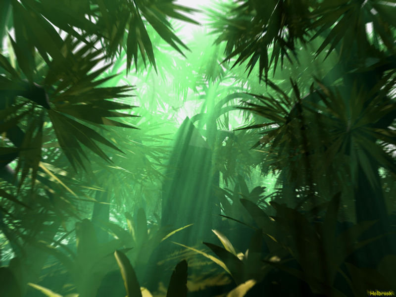 Welcome to the jungle!