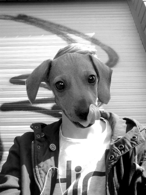 knut
