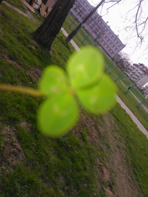 Luck