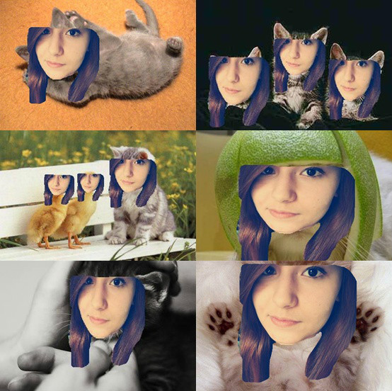6x zociag