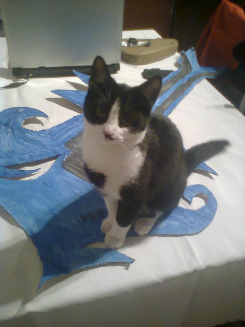 kitka 