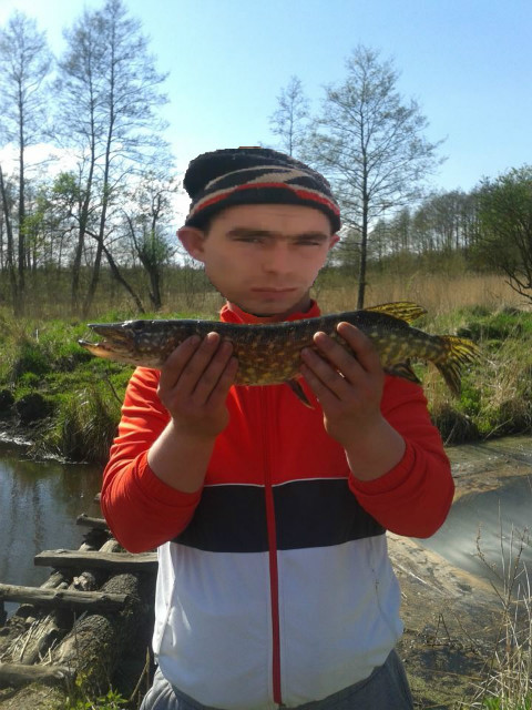 zJEBANE