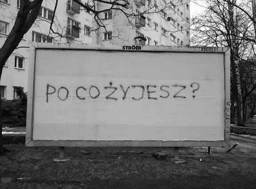 tak.