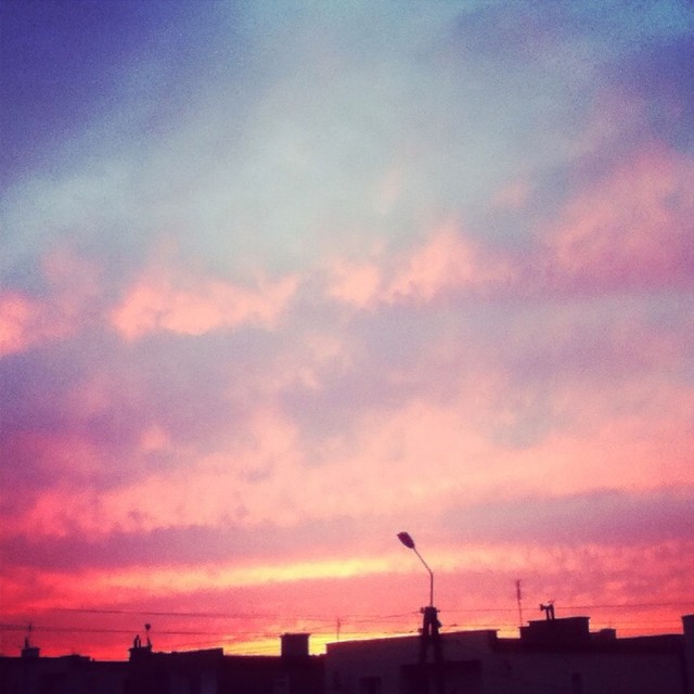 skyy